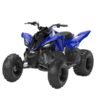 2026 Yamaha Raptor 110