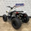 2025 Can-Am® Renegade 110 EFI