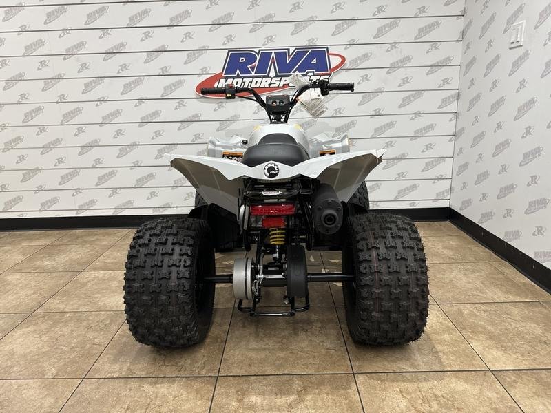 E33F76A5-A4EA-49FA-87B8-D3030D38BDAA